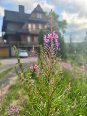 Willa Alta Bukowina Tatrzanska